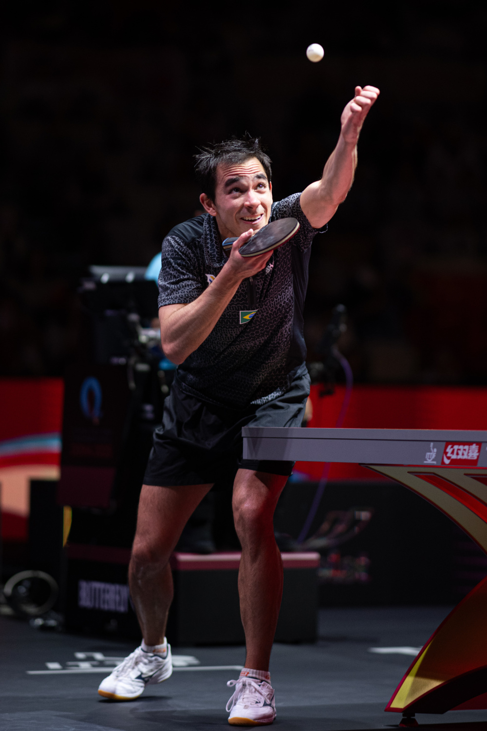 发挥了作用 发挥了作用